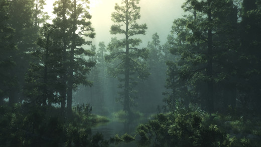 719721 (a): :2250x1266
